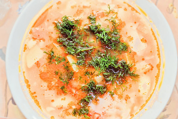 Soup in plate with dill