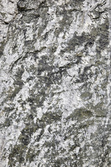 Steinplatte als Hintergrundmotiv