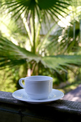 White cup with tea on the plate