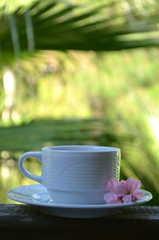 White cup with tea on the plate