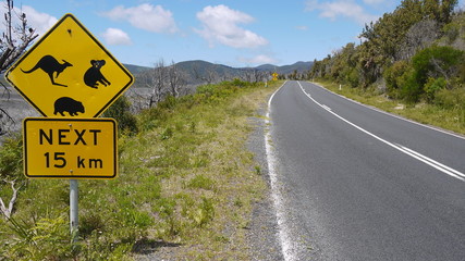 Straße im Wilsons Promontory Nationalpark, Victoria in Australien