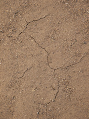 crack in the ground
