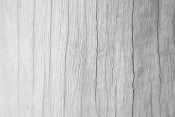 Obraz premium wooden texture for background,grey wood background.