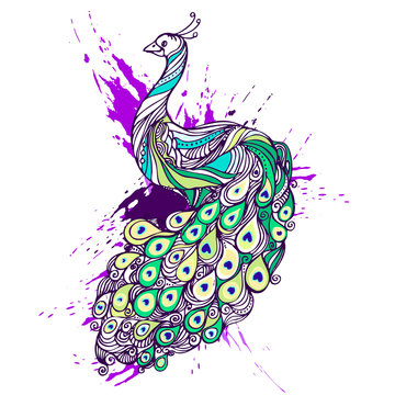Vintage hand drawn pattern color doodle peacock. Ethnic patterned vector illustration. design. Sketch