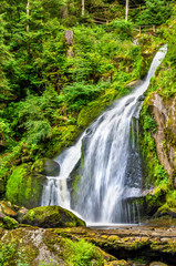 Fototapeta na wymiar Triberg Falls, one of the highest waterfalls in Germany