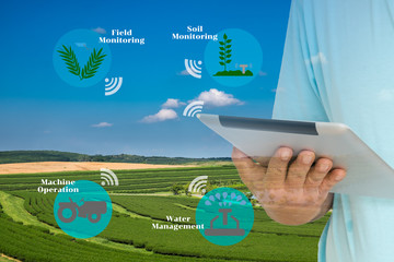 Smart Agriculture and Internet of things in agriculture concept. Farmer using digital tablet to monitor conditions from wireless sensor network in agricultural field.