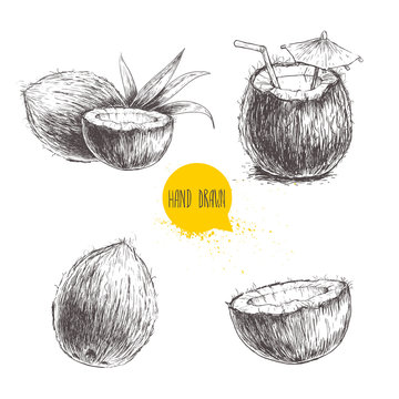 Hand drawn coconut set. Cocktail isolated on white background. Sketch vector tropical food illustration.