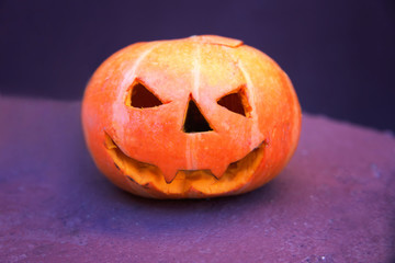 Halloween pumpkin with purple  background