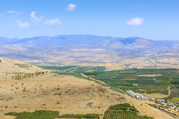 Naklejka premium Gardens in the desert.