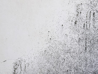 Cracks on the walls moldy