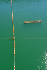 Green lake with lines of ropes, buoys and bamboo raft