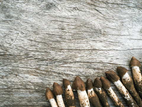 termite mushrooms on wooden background.