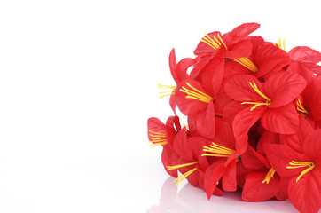 Red plastic flowers Isolated on white backgrounds