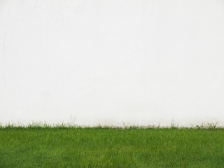 Obraz na płótnie Canvas Green Grass and White Wall