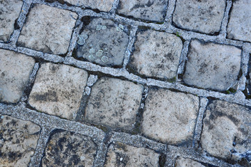 A fragment of old cobblestone pavement. Фрагмент старой мощеной дороги.