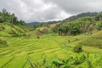 Natural Mountain Huai Nam Khun Village Chiang Rai, Thailand Sep 2016