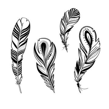 vector ornamental feathers, set of decorative bird feathers isolated on white, black and white illustration with boho style feathers