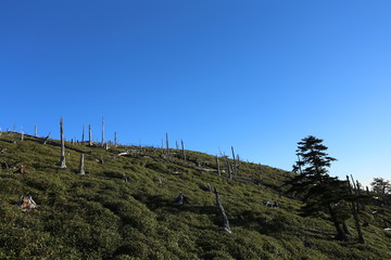 大台ケ原の秋