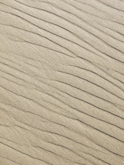 Fototapeta na wymiar closeup view beach sand background