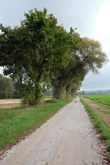 Felder bei Beilngries