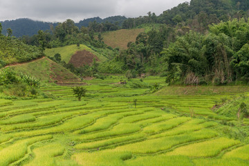 Natural Mountain Huai Nam Khun Village Chiang Rai, Thailand Sep 2016