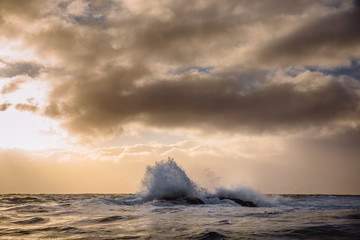 A wave breaks in the Vestfjord in Northern Norway. Photo: Marius Fiskum