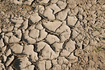 Dry cracked earth