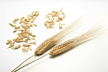 Spighe di grano