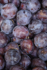 A whole page of purple plum background texture