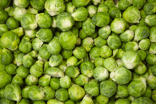 A whole page of Brussel sprout background texture