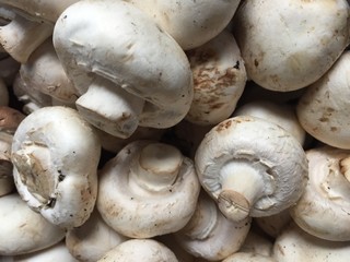 Heap of mushrooms, view from above