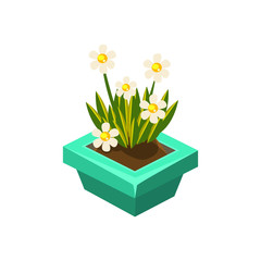 Pot With White Flowers Isometric Garden Landscaping Element