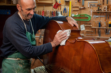 The violin-maker