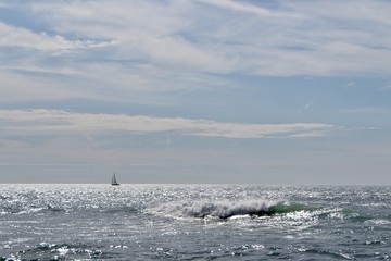 Fototapeta premium Lonely among the waves