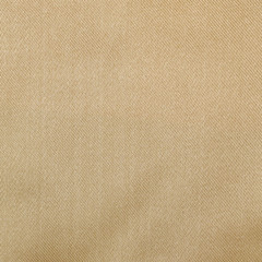 Gold thread on the fabric