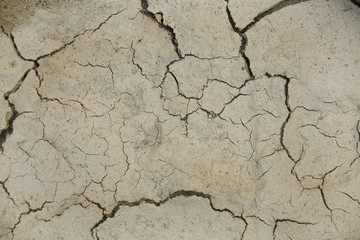A whole page of dry cracked dirt background texture