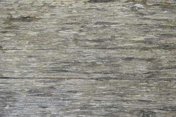 A whole page of weathered wood background texture 