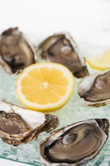 huîtres fraiches avec du citron sur une assiette de glace