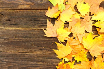 Naklejka na ściany i meble Colorful autumn leaves on a old wooden background