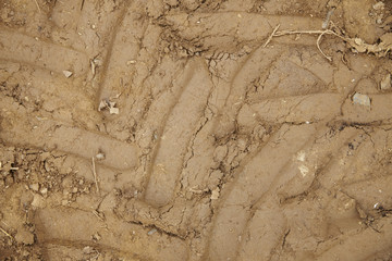 A whole page of muddy field background texture with tyre tracks
