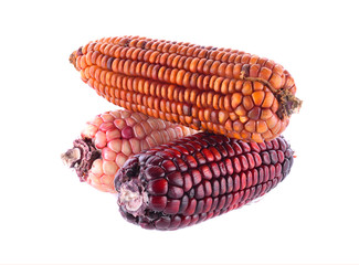 Purple corn on white background