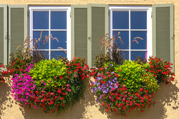 Colourful flowers at the window.