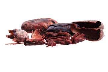 detail of cocoa bean