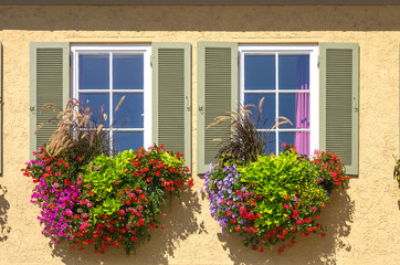 Fototapeta na wymiar Bunte Blumen am Fenster