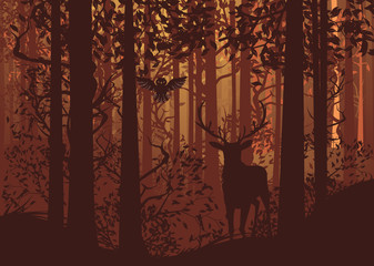 Autumn Forest Landscape and Deer