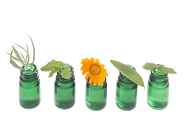 Bottle of essential oil with herb  fresh plants and flowers