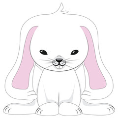Cute White Rabbit
