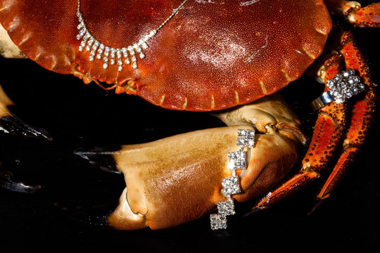 crabe frais avec des bijoux en diamants
