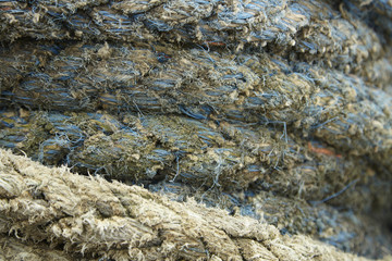 A whole page of boat rope background texture
