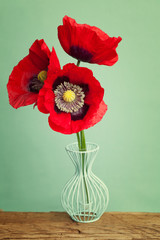 Vibrant red poppy flower in vase